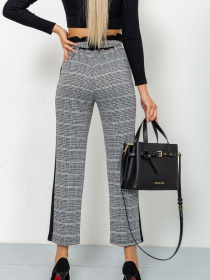 Повседневные штаны Ager модель У-1117829::000000027 Фото