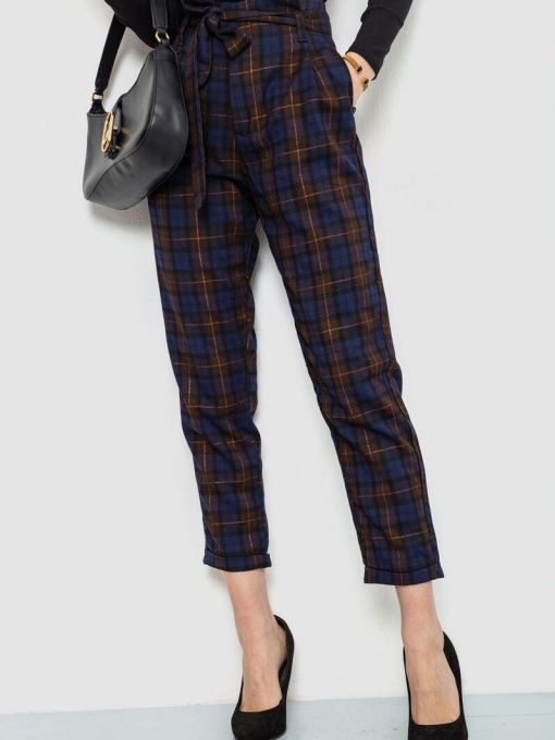 Повседневные штаны Ager модель У-1128470::000001506 Фото