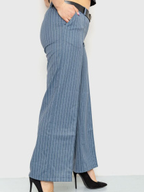 Класичні штани Ager модель У-1120401::000000132 Фото