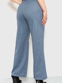 Класичні штани Ager модель У-1120401::000000132 Фото