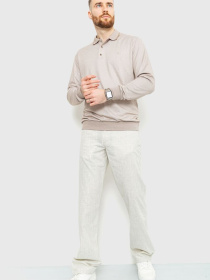 Повседневные штаны Ager модель У-1122718::000002210 Фото