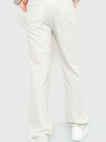 Повседневные штаны Ager модель У-1122718::000002210 Фото