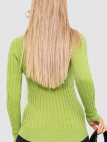 Джемпер Ager модель У-1127109::010002212 Фото