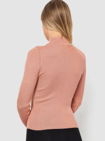 Водолазка Ager модель У-1130711::У-0000435 Фото