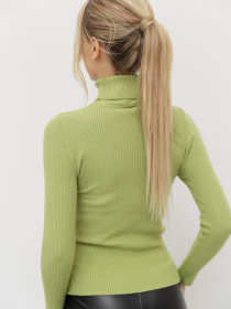 Водолазка Ager модель У-1121085::010002212 Фото