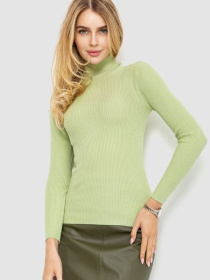 Водолазка Ager модель У-1125398::010002212 Фото