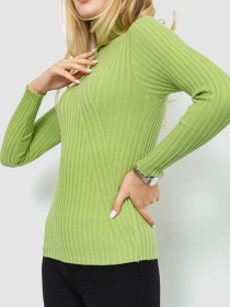 Водолазка Ager модель У-1126206::010002212 Фото