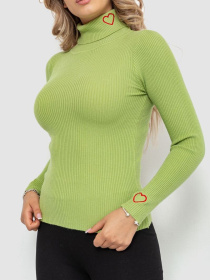 Водолазка Ager модель У-1126203::010002212 Фото