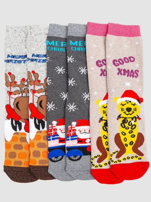 Набір шкарпеток Ager модель У-1126932::У-0039220 Фото