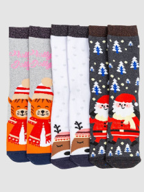 Набор носков Ager модель У-1126935::У-0039218 Фото