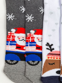 Набір шкарпеток Ager модель У-1126943::У-0039227 Набір шкарпеток Ager модель У-1126943::У-0039227 Фото