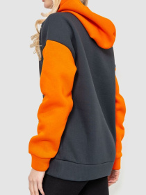 Худі Ager модель У-1121404::000001546 Фото