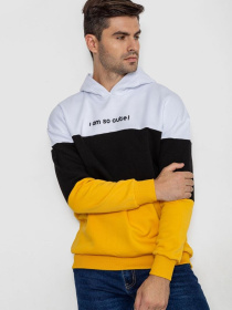 Худи Ager модель У-1130652::000000027 Фото