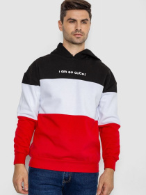 Худі Ager модель У-1130652::000000099 Фото