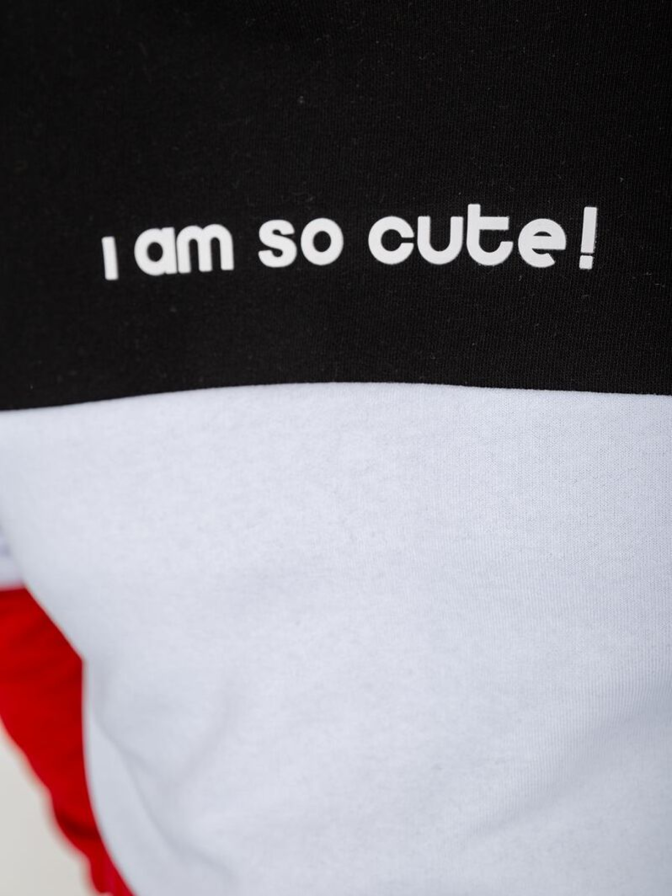 Худи Ager модель У-1130652::000000099 Фото