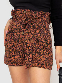 Шорты Ager модель У-1128432::000000145 Фото