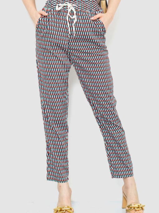 Повседневные штаны Ager модель У-1128200::У-0000165 Фото