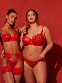 Бюстгальтер GOSSARD Fiesta модель 19705 Бюстгальтер GOSSARD Fiesta модель 19705 Фото