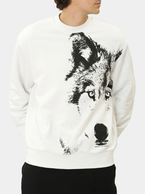 Худи и свитшоты Armani Exchange модель XM000042-AF10858-M0012 Фото