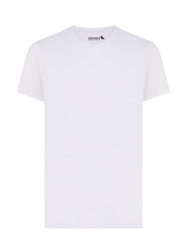 Футболка FROMUS модель 1041-1 Фото