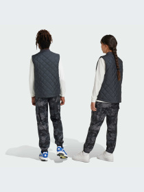 Брюки Adidas модель IY1752-KZ Фото