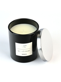 Свеча ароматическая "Тереса" черный гранат MBM MY HOME модель FR-02 Фото