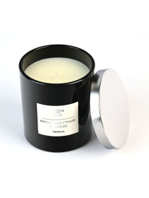 Свеча ароматическая "Тереса" английская груша и фрезия MBM MY HOME модель FR-04 S Фото