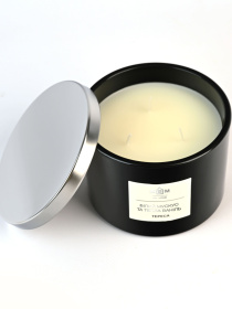 Свеча ароматическая "Тереса" белый мускус и теплая ваниль MBM MY HOME модель FR-05 Фото