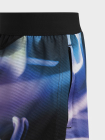 Шорты Adidas модель HR5919 Фото