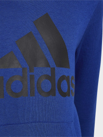 Худи Adidas модель HN1912 Фото