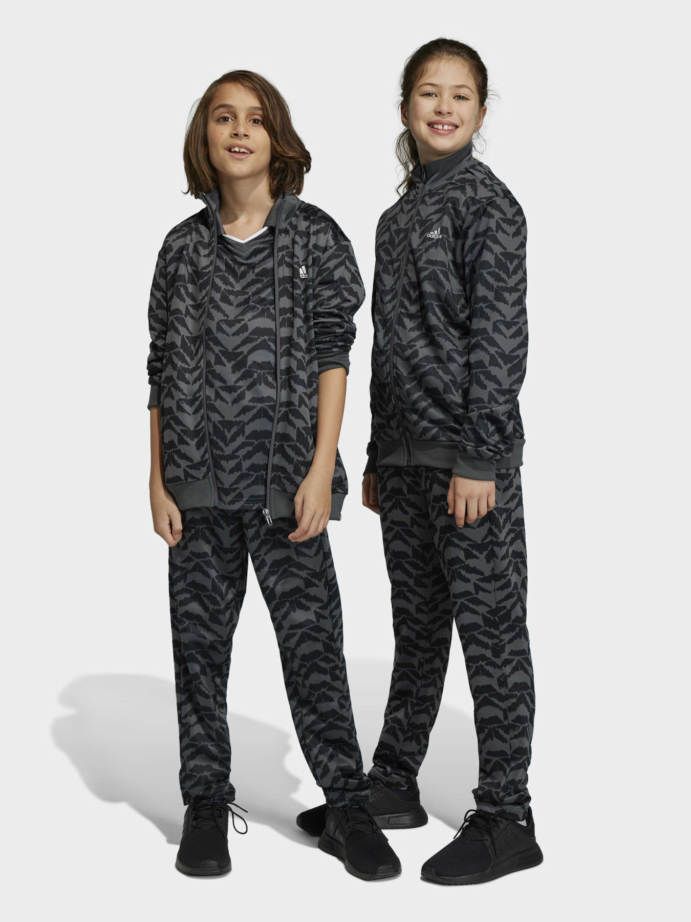 Спортивный костюм Adidas модель HR6401 Фото