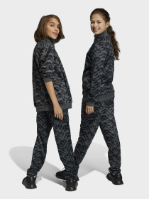 Спортивный костюм Adidas модель HR6401 Фото