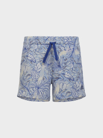 Шорты Adidas модель HR5832 Фото