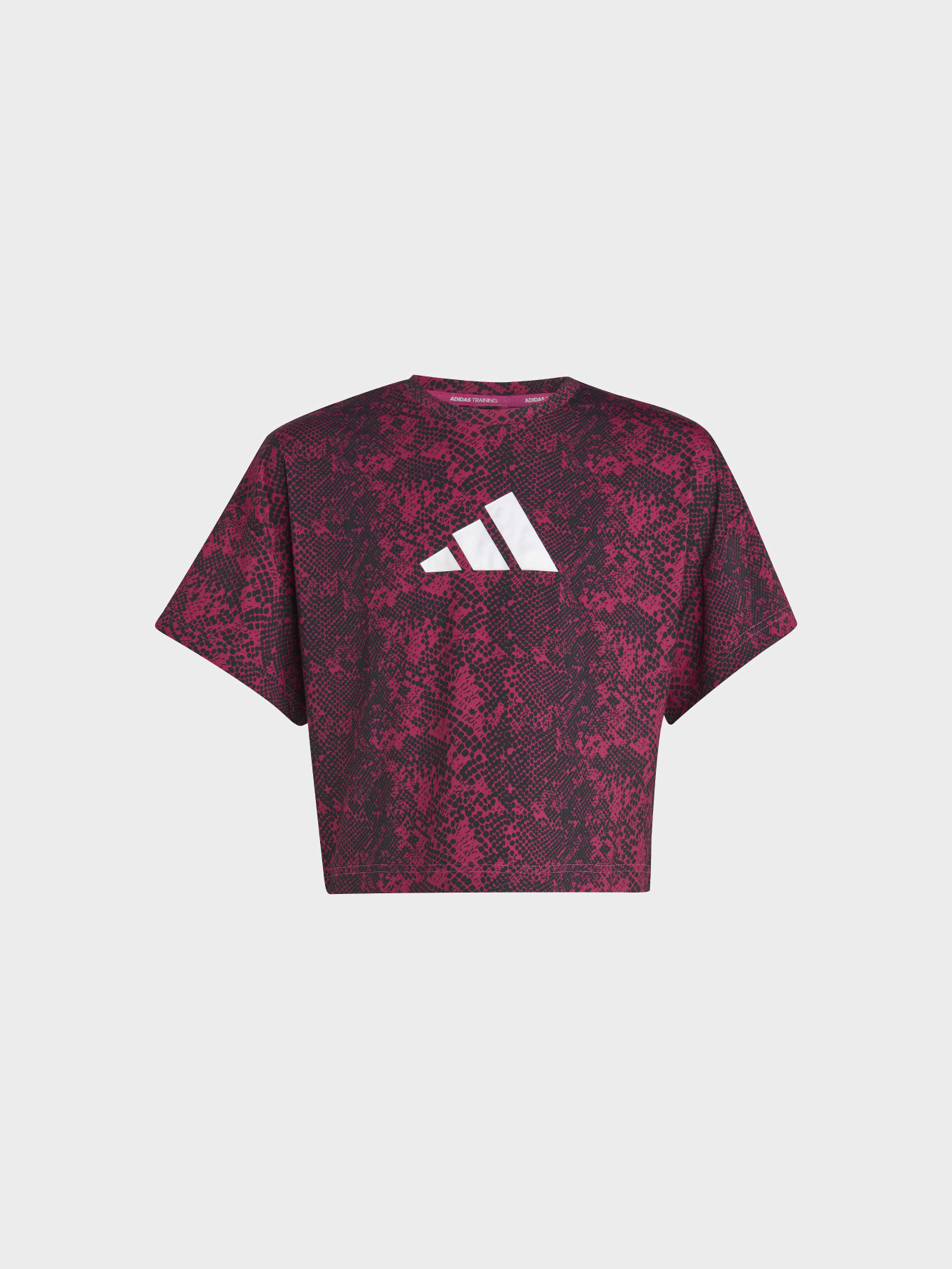 Спортивная футболка Adidas модель IC0357 Фото