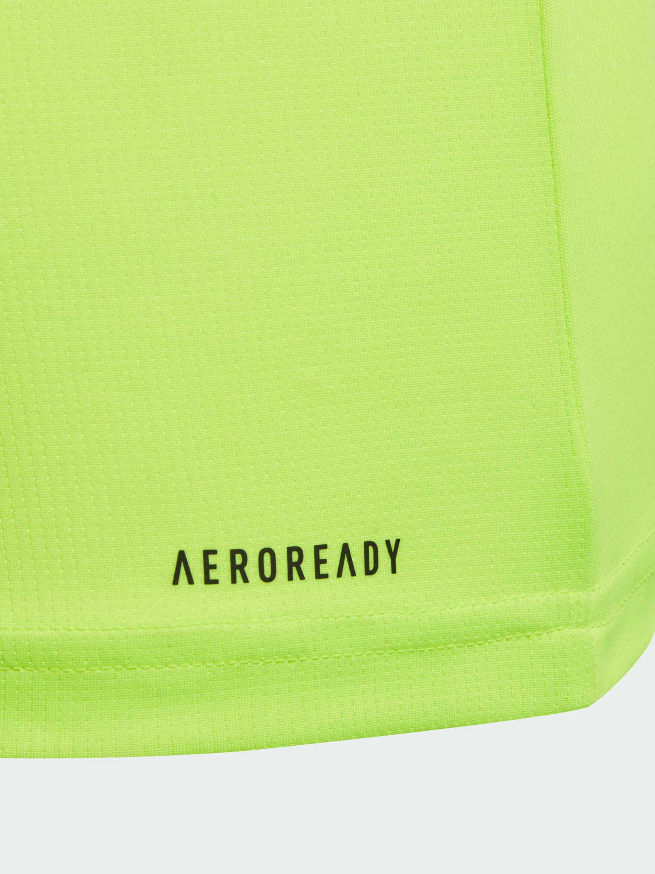 Футболка спортивная Adidas Clima модель IJ9567 Фото