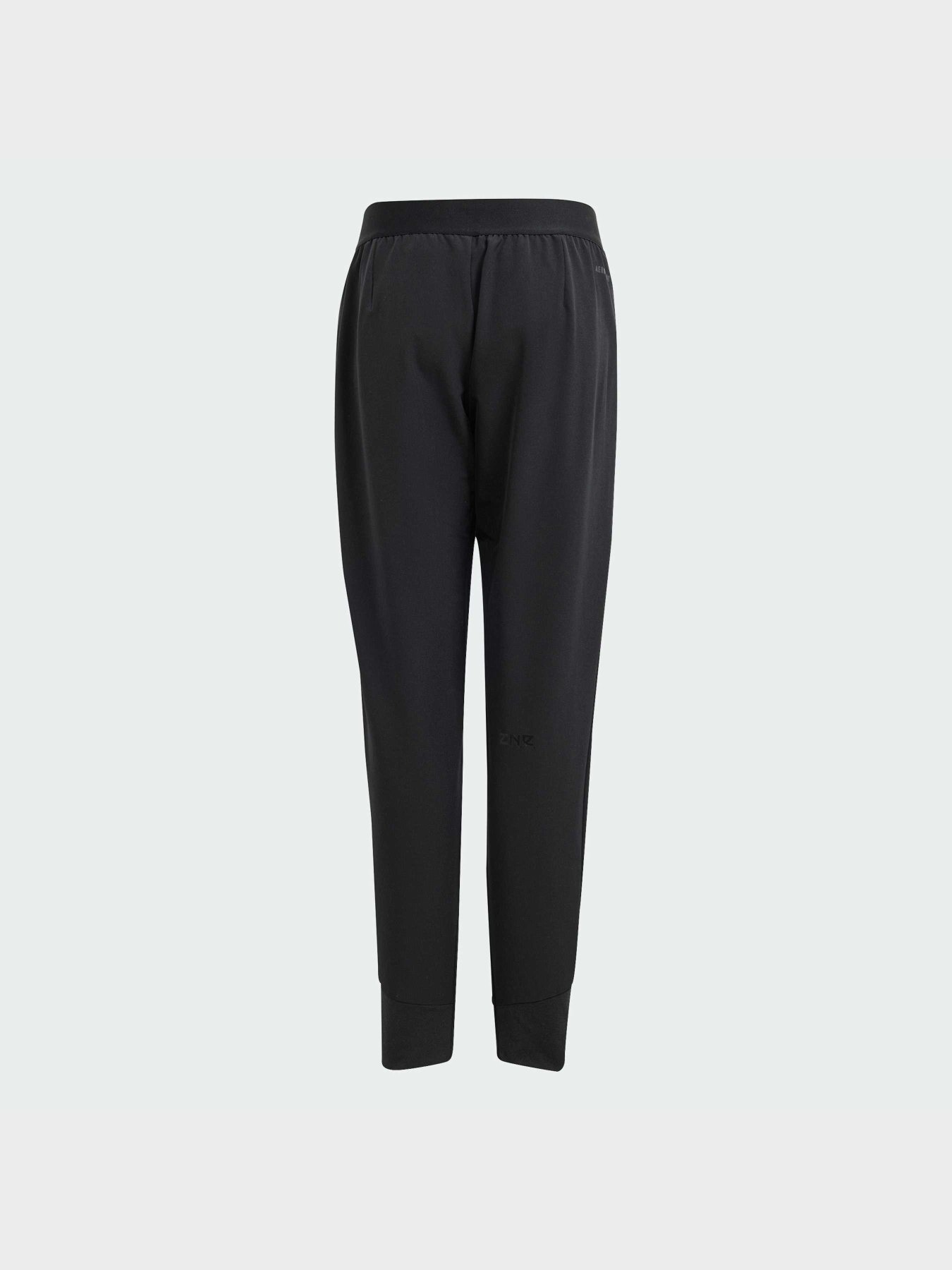 Штани повсякденні Adidas ZNE модель IN6962 Фото