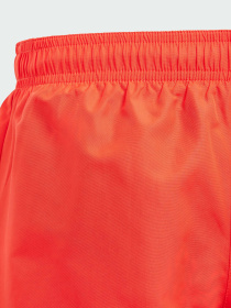 Шорты для плавания Adidas модель IR5690 Фото