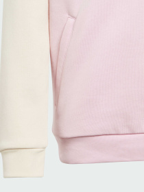 Худи Adidas Adicolor модель IJ5379 Фото