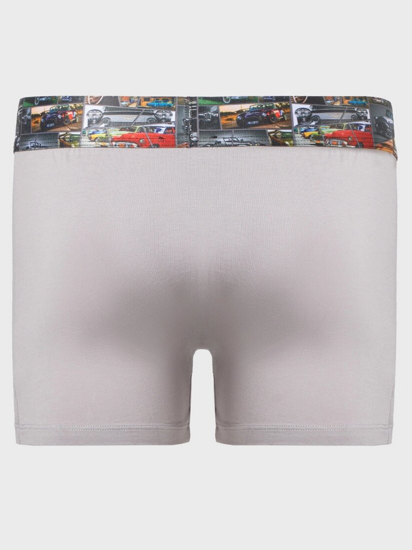 Трусы Geronimo модель 17531b1 Фото