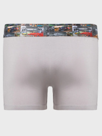 Трусы Geronimo модель 17531b1 Фото