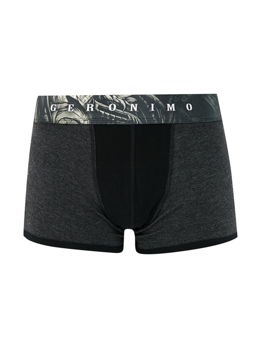 Трусы Geronimo модель 17571b1 Фото