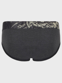 Трусы Geronimo модель 17571s2 Трусы Geronimo модель 17571s2 Фото