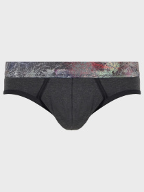 Трусы Geronimo модель 1759s2 Трусы Geronimo модель 1759s2 Фото