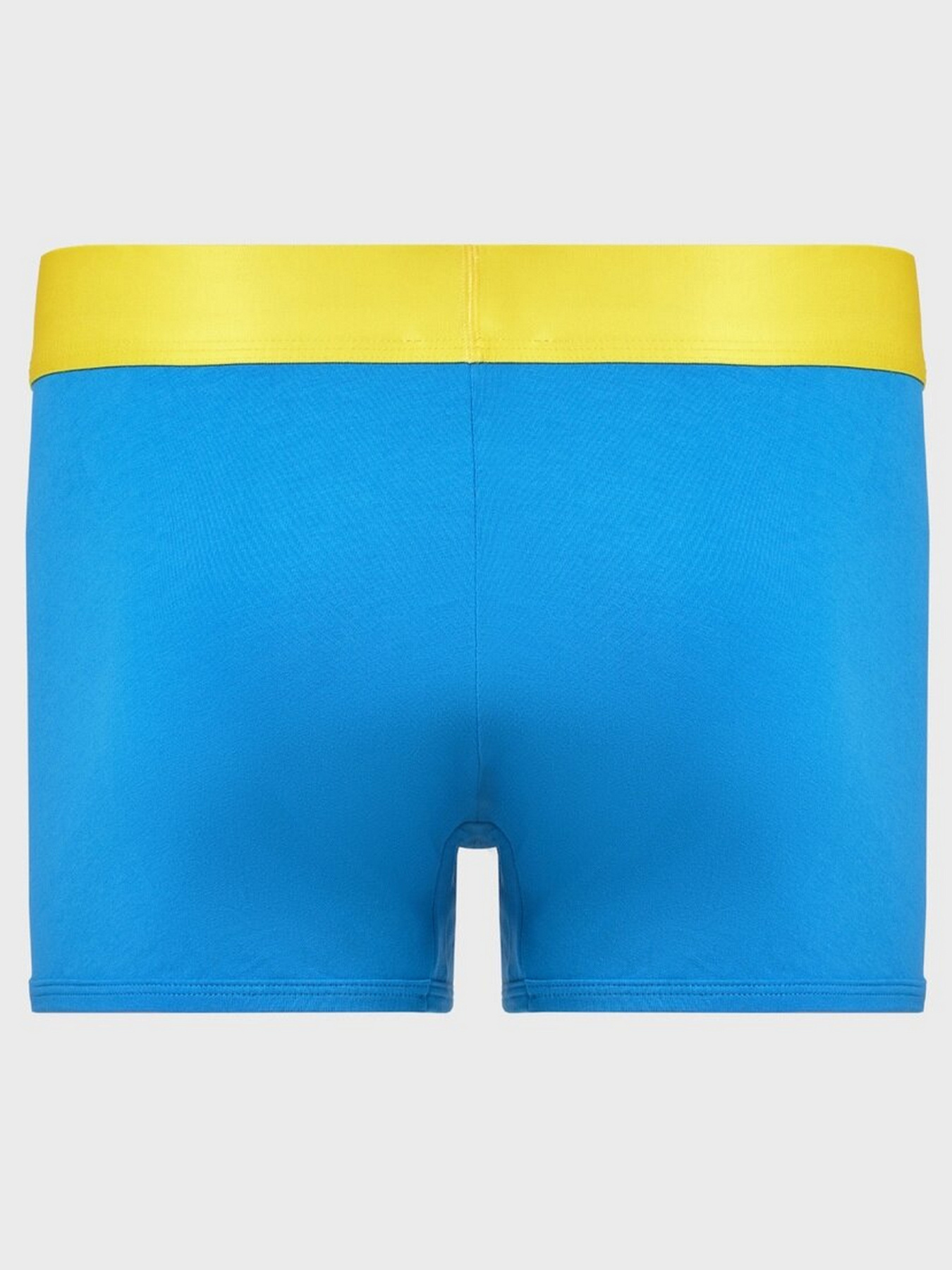 Трусы Geronimo модель 1765b1 Фото