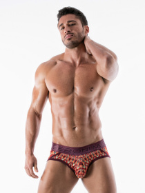 Трусы Geronimo модель 1952s4 Трусы Geronimo модель 1952s4 Фото