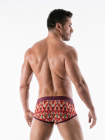 Трусы Geronimo модель 1952s4 Трусы Geronimo модель 1952s4 Фото