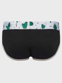 Трусы Geronimo модель 2071s2 Фото