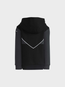 Спортивный костюм Adidas Adicolor модель IB9910 Фото