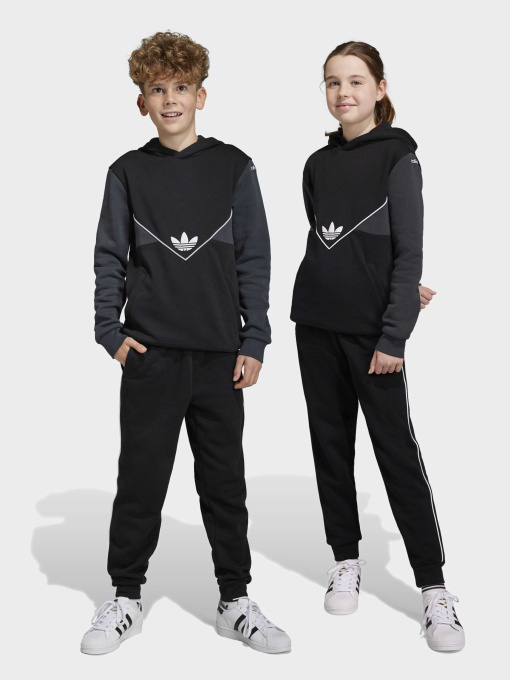 Джоггеры Adidas Adicolor модель IC6234 Фото