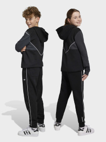 Джогери Adidas Adicolor модель IC6234 Фото